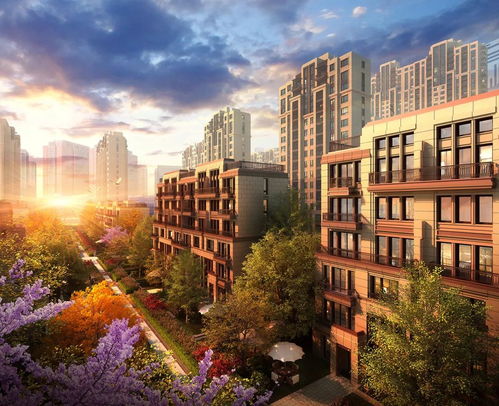 居住自由 一個(gè)上海家庭的夢想與現(xiàn)實(shí)